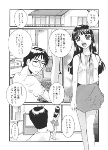 過激な淑女, 日本語