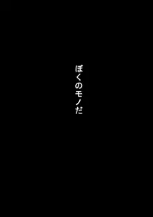 尚くん、叔母さんとセックスする, 日本語