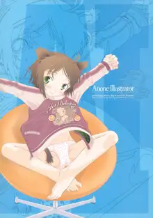 ANONE ILLUSTRATOR ver.1.0.0, 日本語