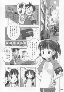 なつのかんさつにっき, 日本語