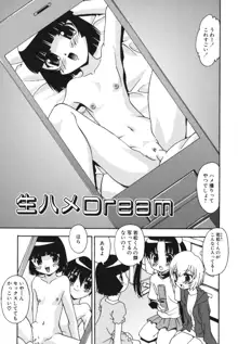 生ハメDream, 日本語