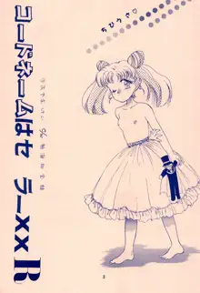 コードネームはセーラーXX R, 日本語