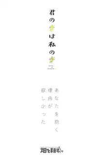 君の恋は私の恋, 日本語