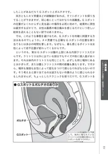 前戯王 挿入より大事な性感のトリセツ, 日本語