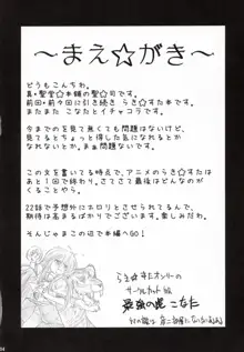 こなたが待つ 泉家 父が居ぬ間の1泊2日, 日本語