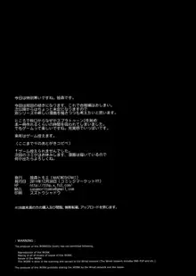 サキュバステードライフ10, 日本語