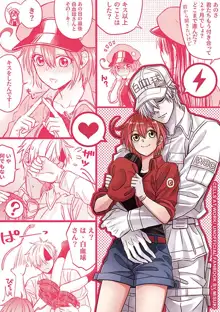 )] Shall I Phagocytize You Tonight?! (cells at work)sample, 日本語