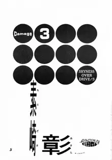 DAMAGE#3, 日本語