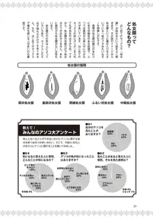 恋する女性のLOVE＆HEAVEN～楽しいみんなのＨファイル～イラスト版……らぶヘブッ！, 日本語