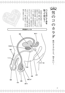 恋する女性のLOVE＆HEAVEN～楽しいみんなのＨファイル～イラスト版……らぶヘブッ！, 日本語