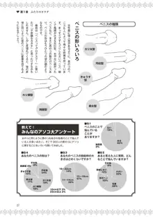 恋する女性のLOVE＆HEAVEN～楽しいみんなのＨファイル～イラスト版……らぶヘブッ！, 日本語