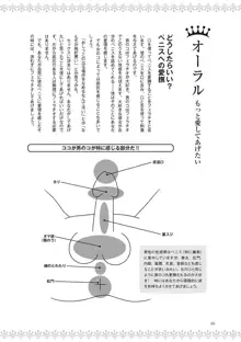 恋する女性のLOVE＆HEAVEN～楽しいみんなのＨファイル～イラスト版……らぶヘブッ！, 日本語