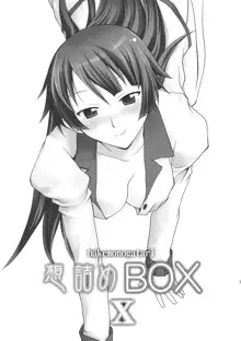 想詰めBOX X, 日本語