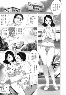 ネトラレ愛玩妻, 日本語