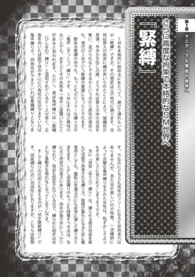 アブノーマル風俗入門 ～ラブドール風俗から、1000万円の風俗嬢まで～, 日本語