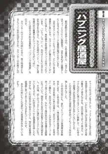 アブノーマル風俗入門 ～ラブドール風俗から、1000万円の風俗嬢まで～, 日本語