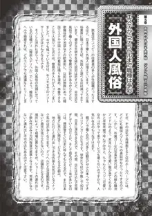 アブノーマル風俗入門 ～ラブドール風俗から、1000万円の風俗嬢まで～, 日本語