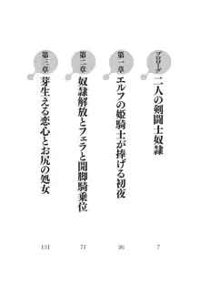 奴隷エルフ解放戦争 姫騎士と呪いの首輪, 日本語