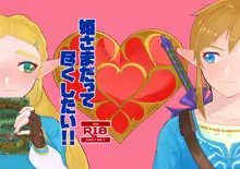 Hime-sama datte tsukushitai! !(The Legend of Zelda)sample, 日本語