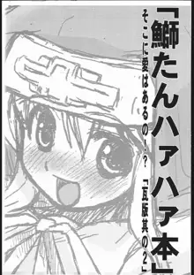 「鰤たんハァハァ本」そこに愛はあるの！？瓦版其の2」, 日本語