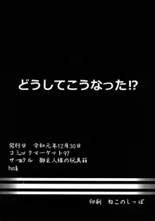 帝国極秘資料四十八手指南書, 日本語