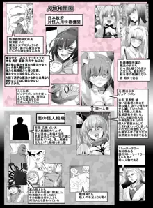 魔法少女VSエロ処女実験, 日本語