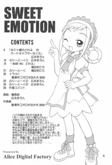 SWEET EMOTION, 日本語