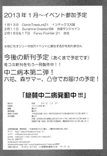 絶賛中二病発動中!!!, 日本語