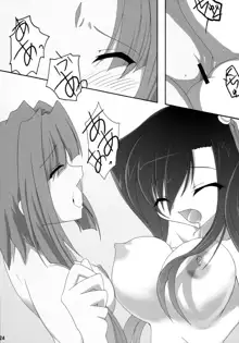 真・百合姫†無双～乙女大乱～, 日本語