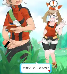 ポケトレ バトル(8) ハルカ vs ユウキ, 日本語