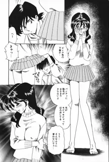 紫陽花いろの淑女, 日本語