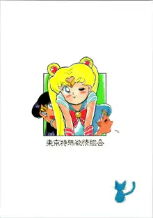 ちょっと変わった魔女っ子本 2, 日本語