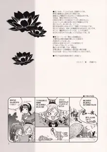 百花姜乱 2, 日本語