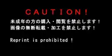 もしバレンタインが快楽堕ちしてしまったら!?, 日本語