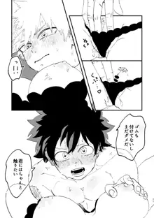 (持ち込み) [My Hero Academia] [JP], 日本語