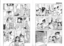 若妻日記, 日本語