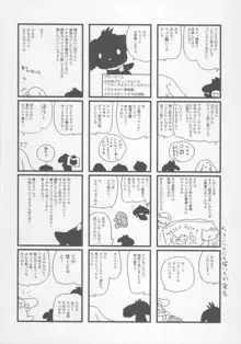 CR ブラック♪ホワイト, 日本語