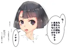 少女誘拐実験7, 日本語