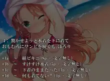 ちっぱいお嬢様でもラッキースケベなら許されるよね!!, 日本語