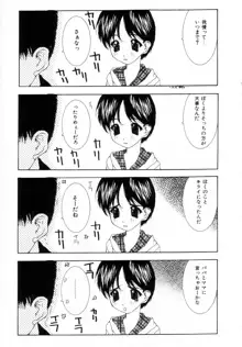 女の子の秘密, 日本語