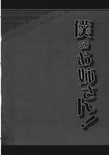 僕のお姉さん!, 日本語