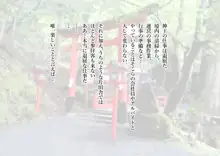 境内の巫女さんにいたずらし放題の神社, 日本語