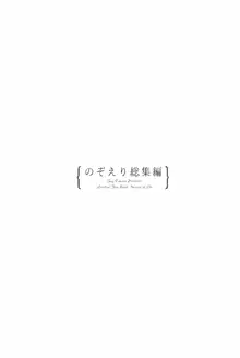 タカラモノの日々。, 日本語