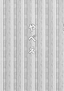 寝ているチルノにいたずらしたり、大妖精をボロクソにしたり、性教育する本。, 日本語