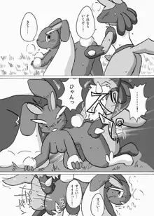 Lucario X Lopunny, 日本語