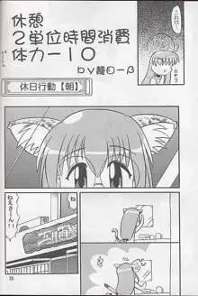 メガ超合金温泉パンダちゃん, 日本語