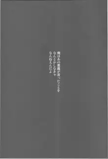 カナシキオモチャ3, 日本語