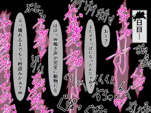 かいらくごーもん～生意気サキュバスちゃん凌辱再教育～, 日本語