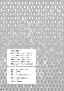 悪性河城にとりさん, 日本語