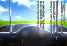 都市が決めた僕の嫁が塩対応にも程がある!, 日本語